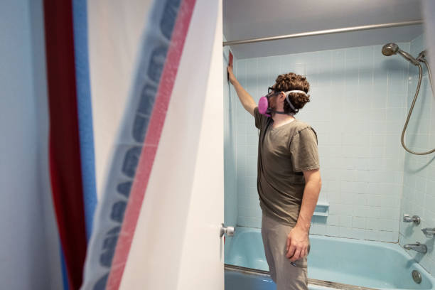Trusted Wacousta, MI Mold Removal Experts
